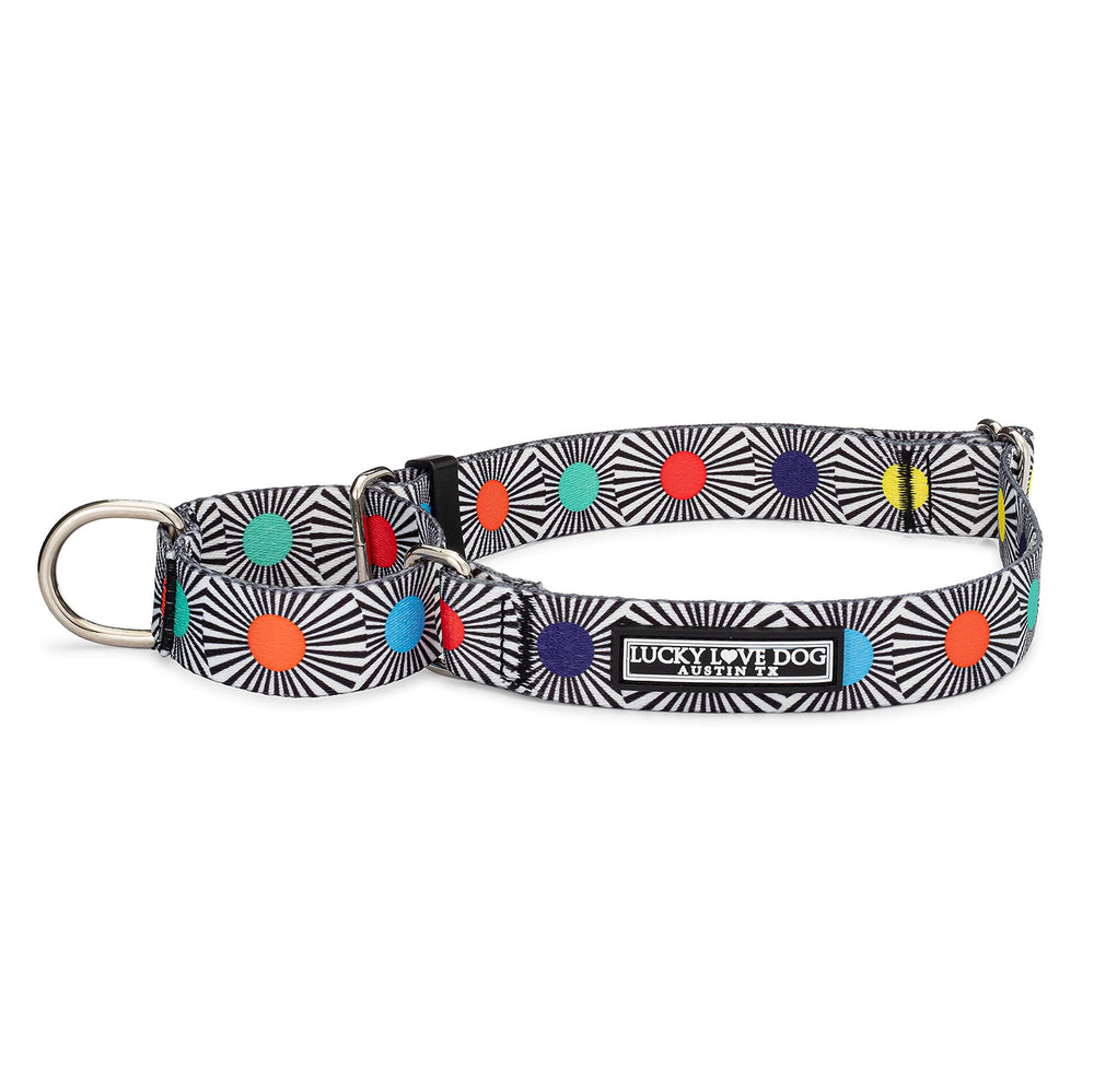 Lucky Love Dog adjustable martingale collar small closeup shows secure fit for daily walks