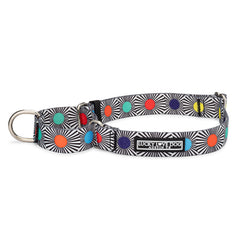 Lucky Love Dog adjustable martingale collar small closeup shows secure fit for daily walks