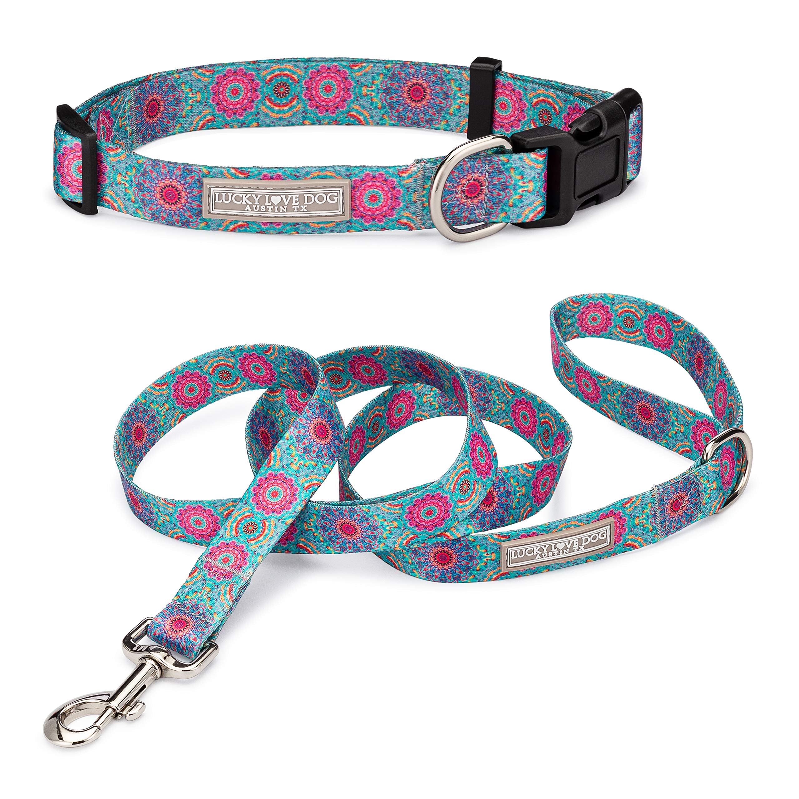 Lucky Love Dog boho chic collar on a small Clara combo dog for stylish everyday walks.