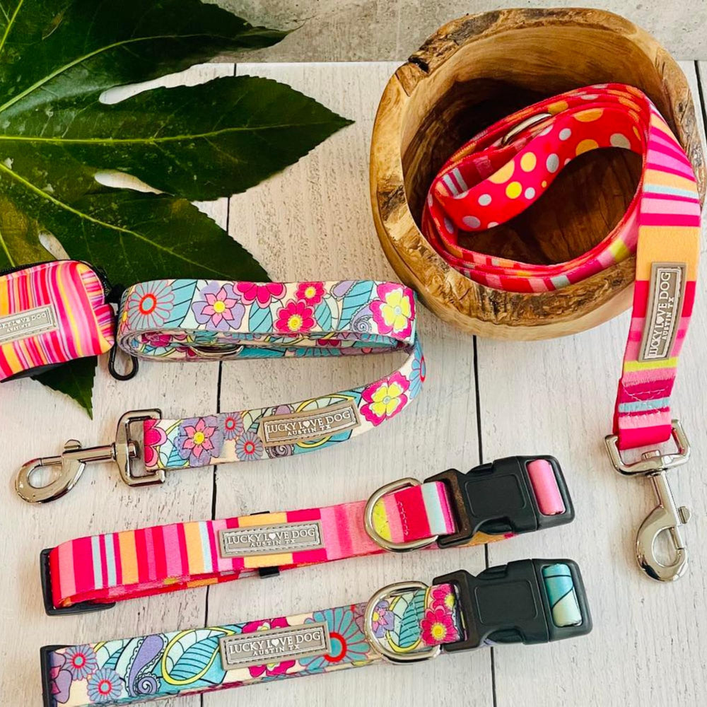 Lucky Love Dog matching leash set enhances coordinated outings.