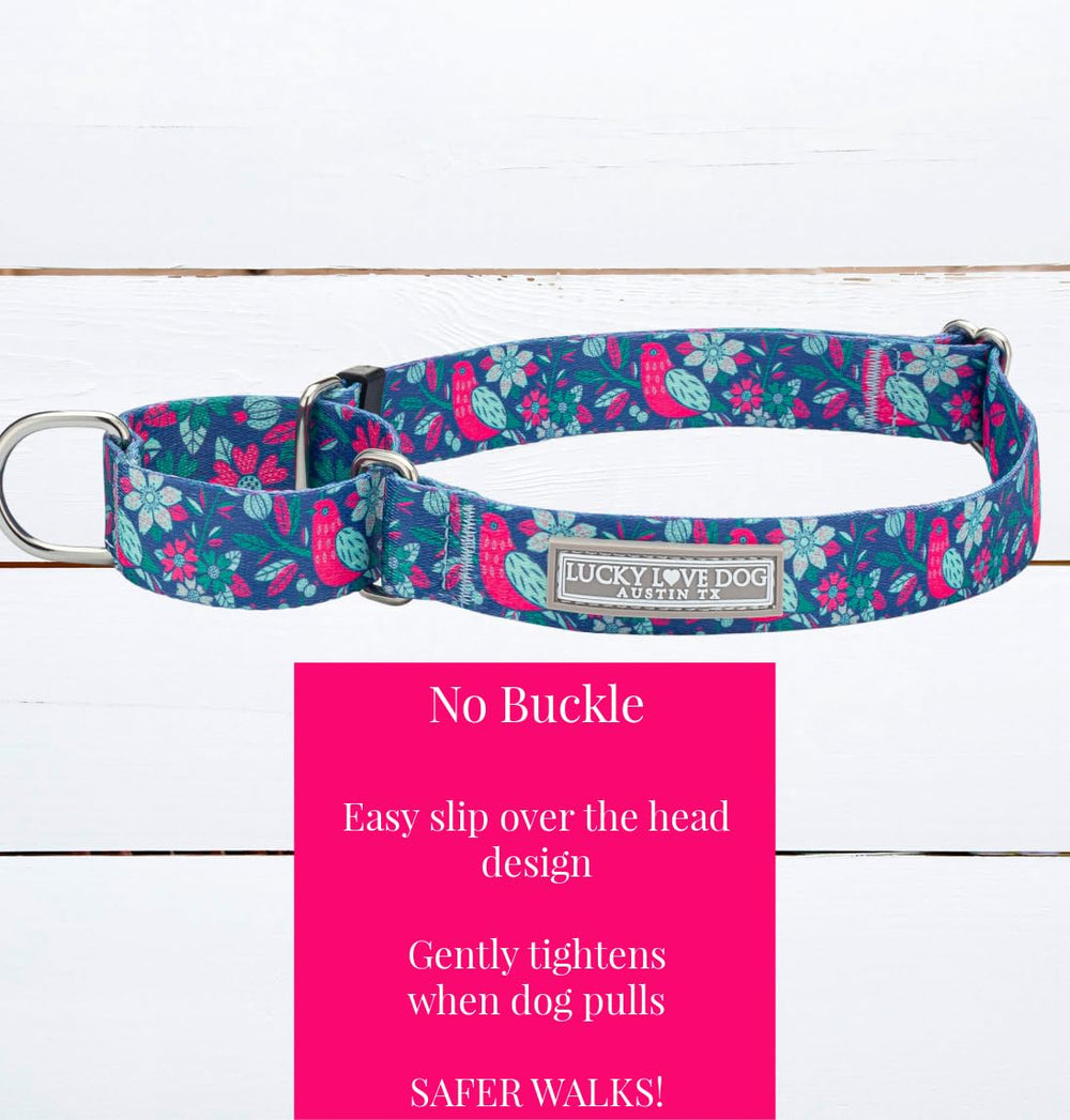Lucky Love Dog Carriebelle martingale collar close-up—durable no-slip control.
