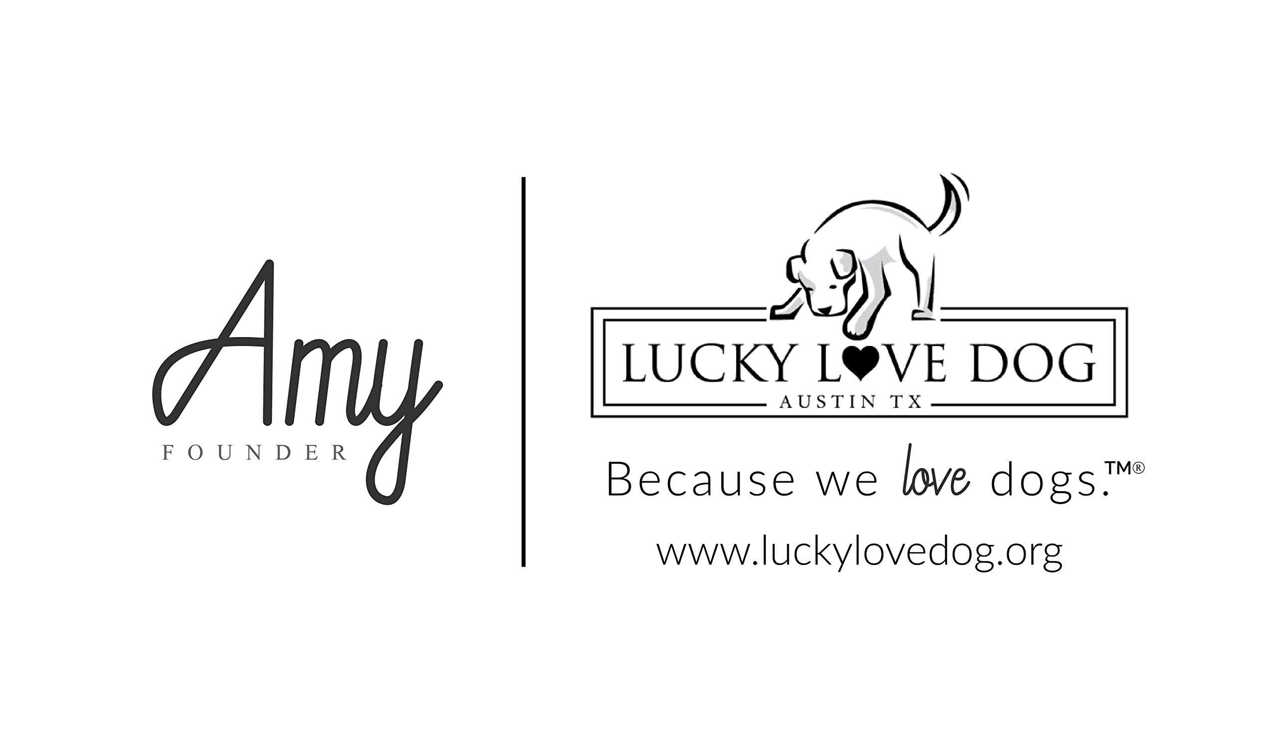 Lucky Love Dog Carriebelle martingale collar in a training session.