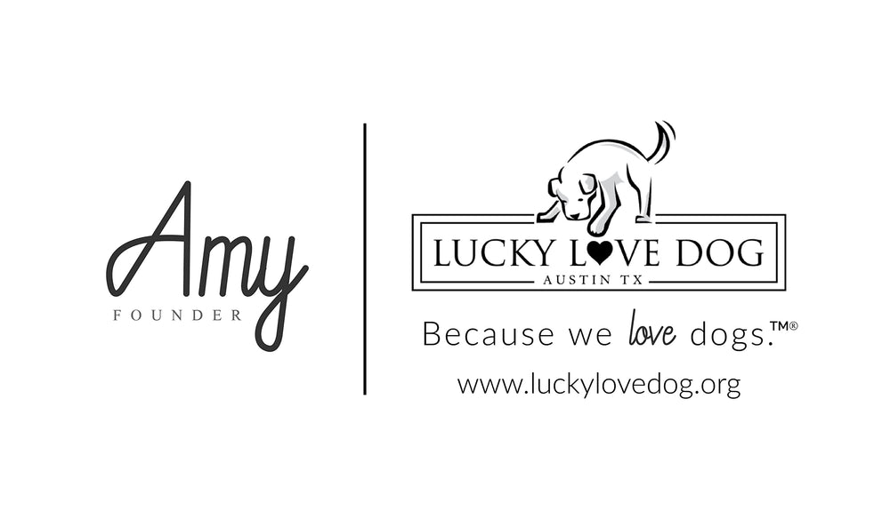 Lucky Love Dog Carriebelle martingale collar in a training session.