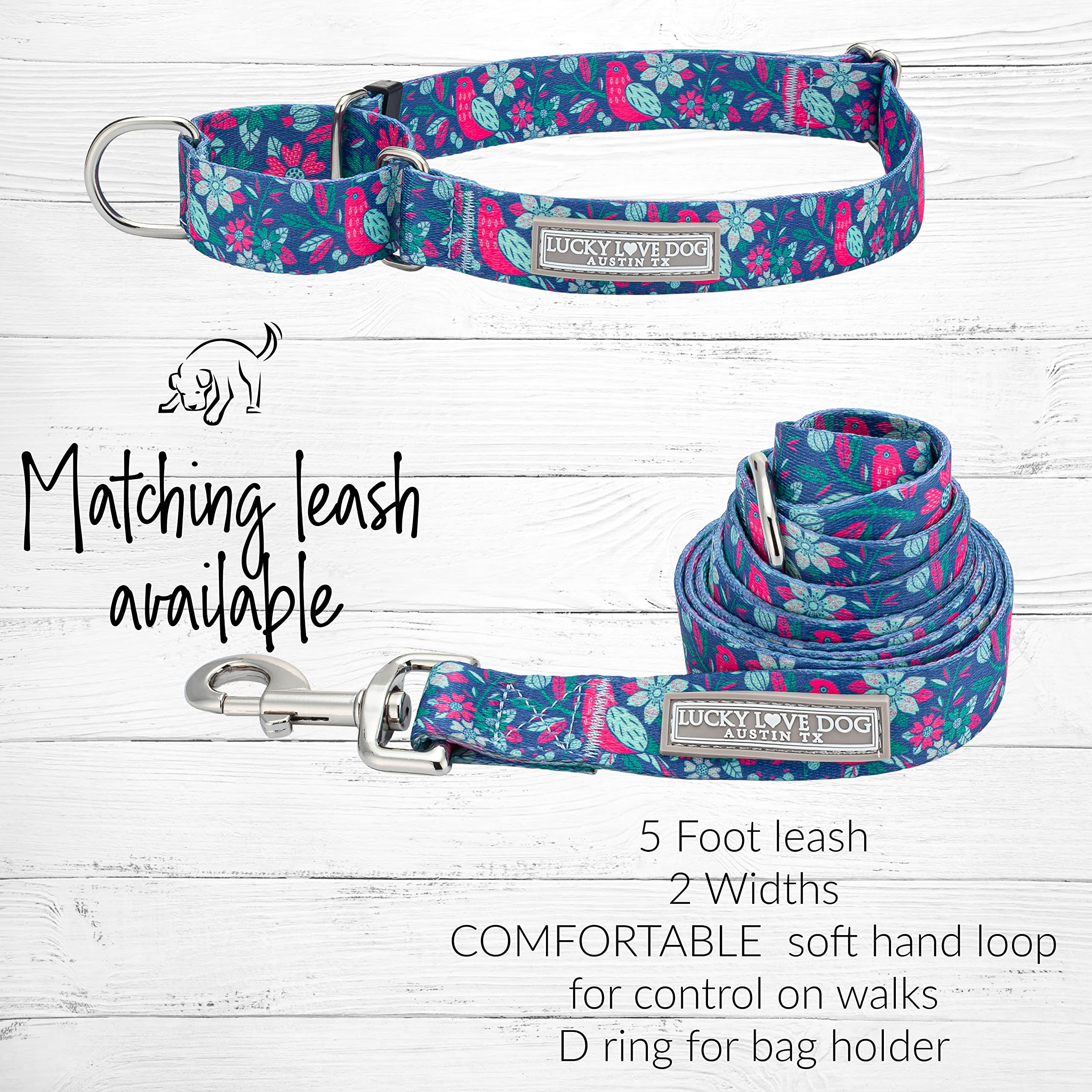 Lucky Love Dog Carriebelle patterned collar worn during walk or training.