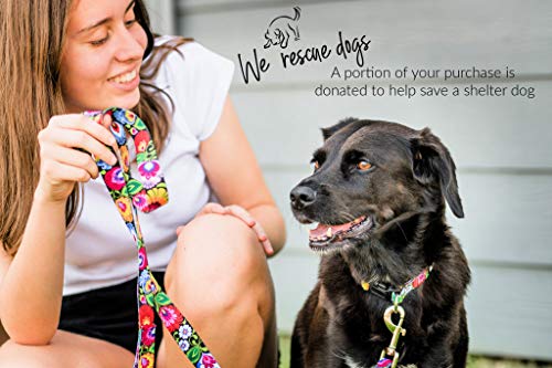Lucky Love Dog collar-and-leash-5ft-blackbird-large enhances daily walks with reliable control.