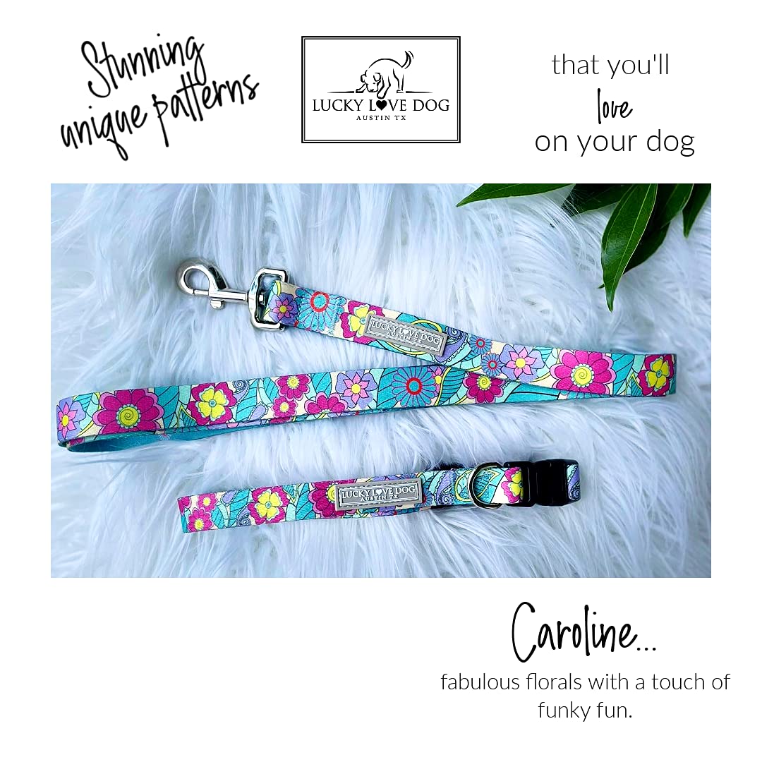 Lucky Love Dog collar and leash combo walk shot emphasizes coordinated style