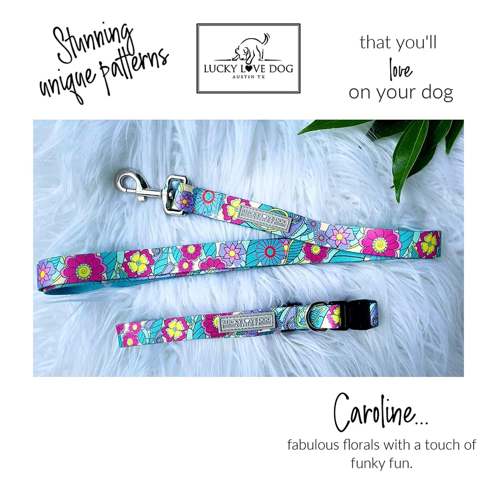 Lucky Love Dog collar and leash combo walk shot emphasizes coordinated style