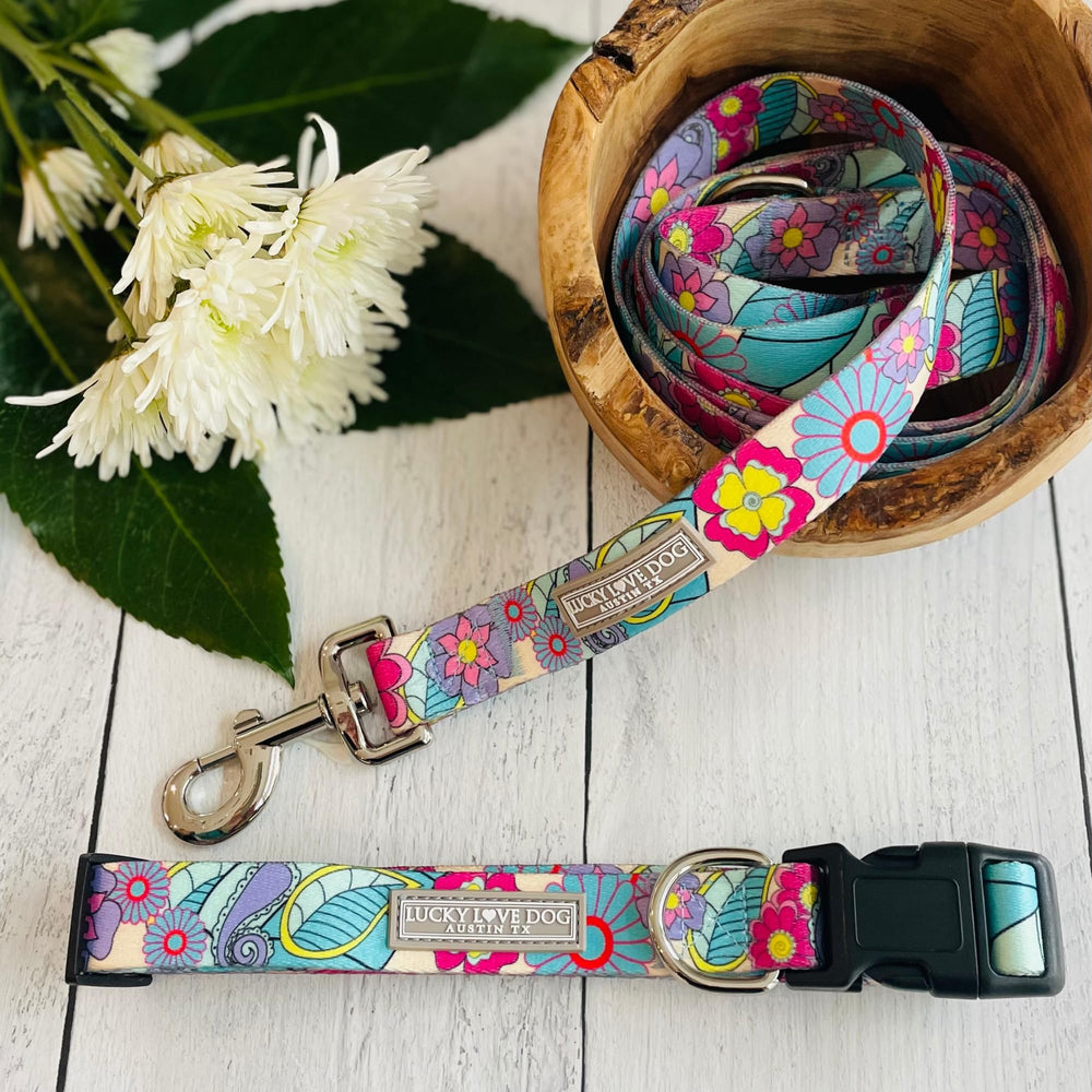 Lucky Love Dog collar buckle closeup highlights easy on/off functionality