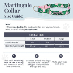 Lucky Love Dog durable collar with strong webbing for active dogs