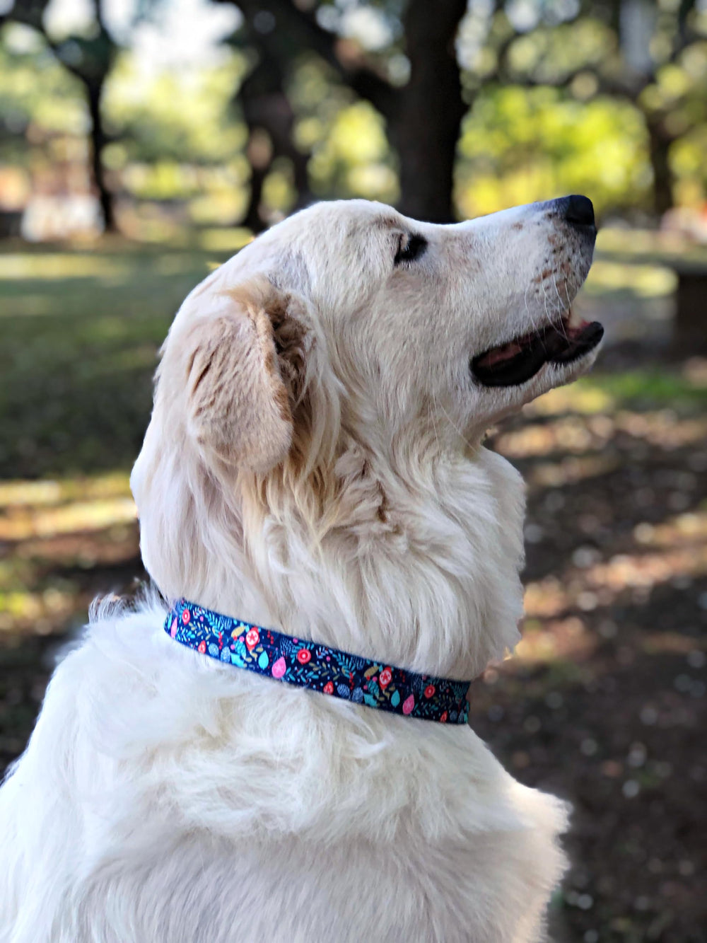 Lucky Love Dog durable materials texture; long-lasting everyday wear.
