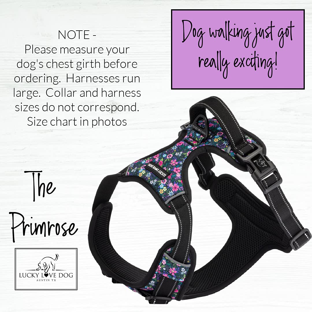 Lucky Love Dog Easy Walker chest-buckle adjustment for customizable fit during adventures