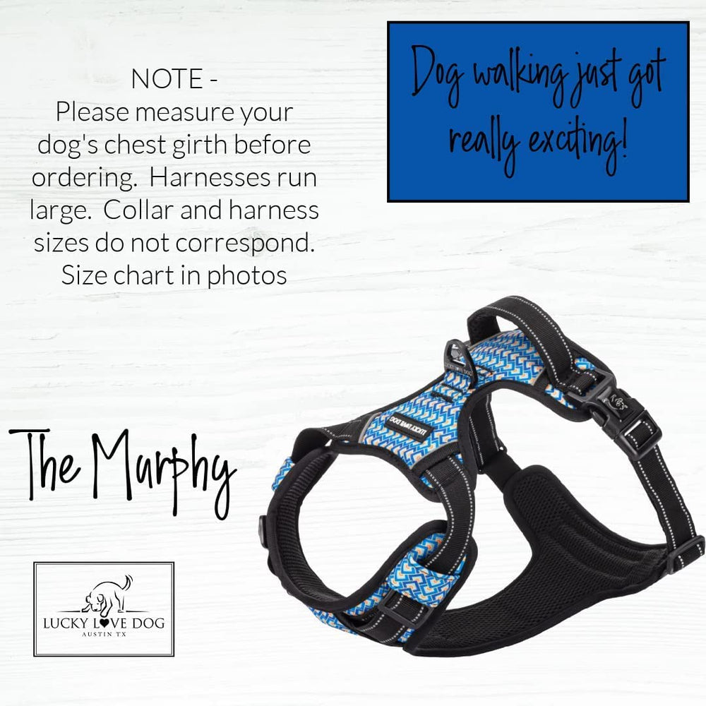 Lucky Love Dog Easy Walker pattern adds cute style to walks