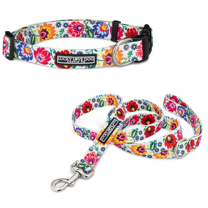 Lucky Love Dog Ladybird Combo collar in vibrant floral pattern for stylish daily walks.