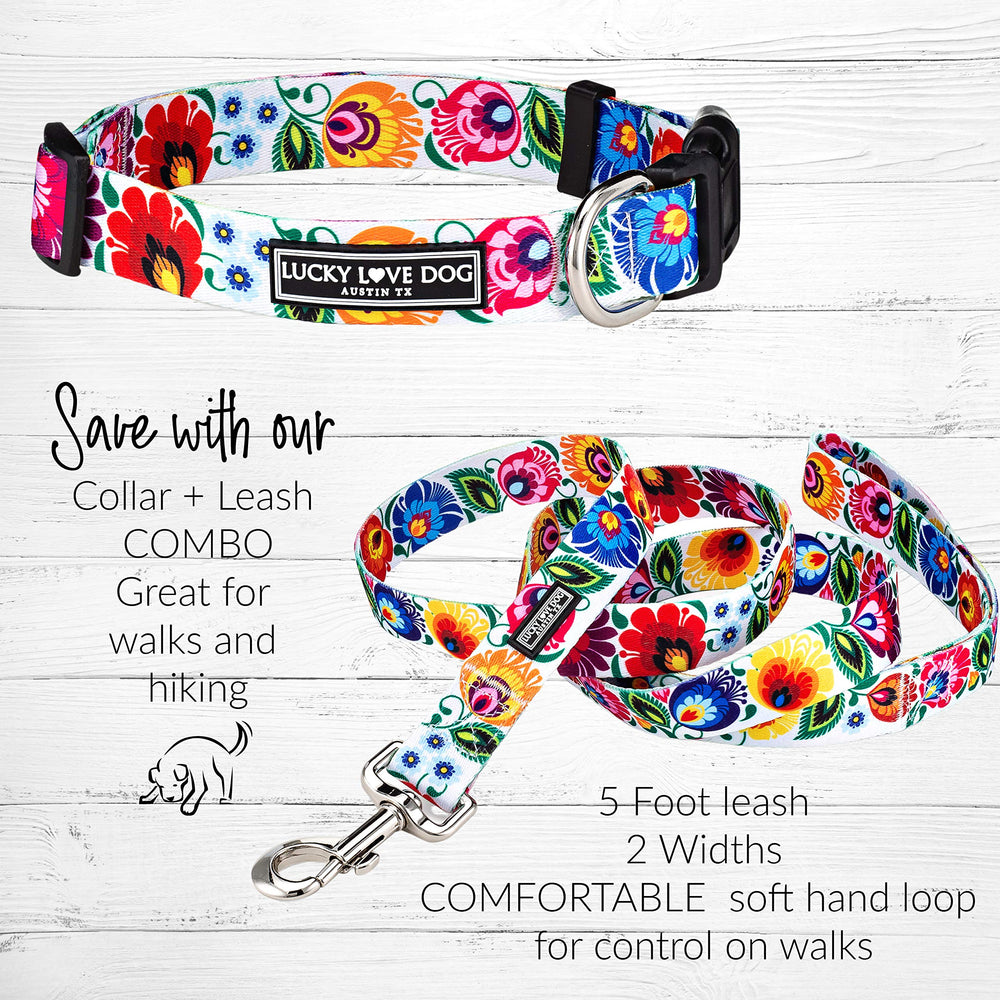 Lucky Love Dog Ladybird Combo size options for small to large dogs.