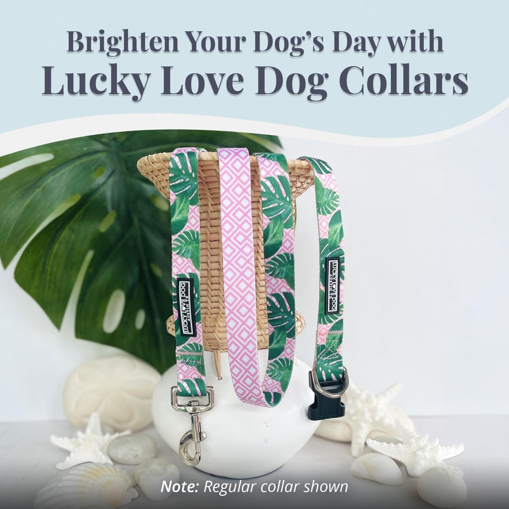 Lucky Love Dog Laguna-patterned small collar adds flair to daily strolls