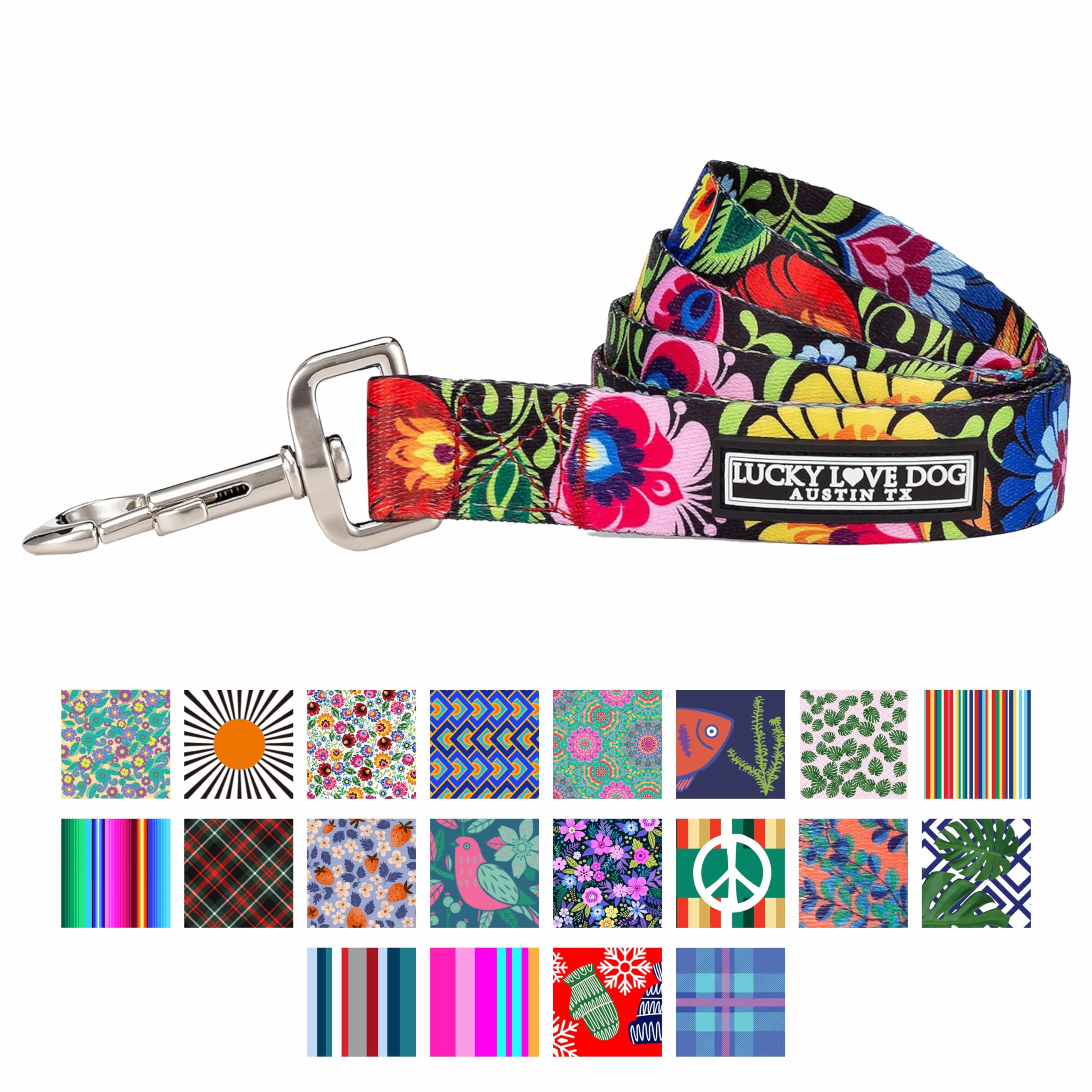 Lucky Love Dog Leash with Blackbird pattern on a dog during a walk for safety and style.