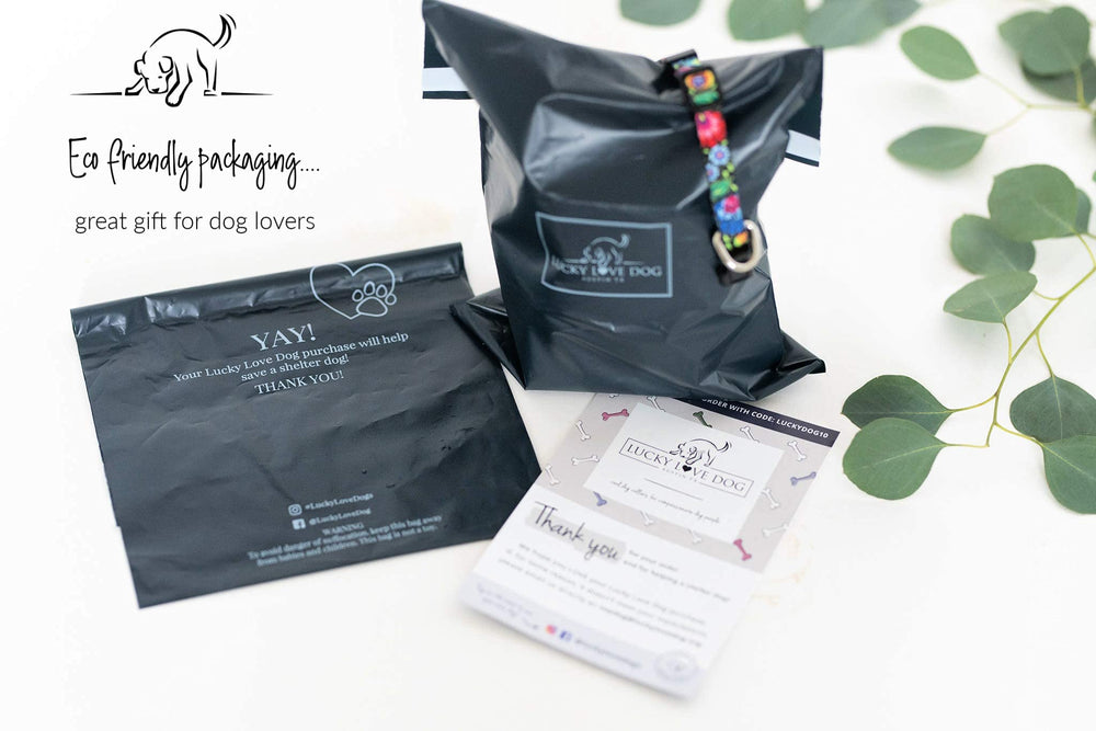 Lucky Love Dog Leash premium quality detailing emphasizes security during hikes.