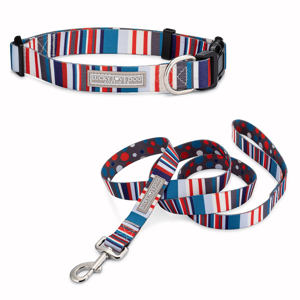 Lucky Love Dog Linus collar buckle close up for secure everyday walks