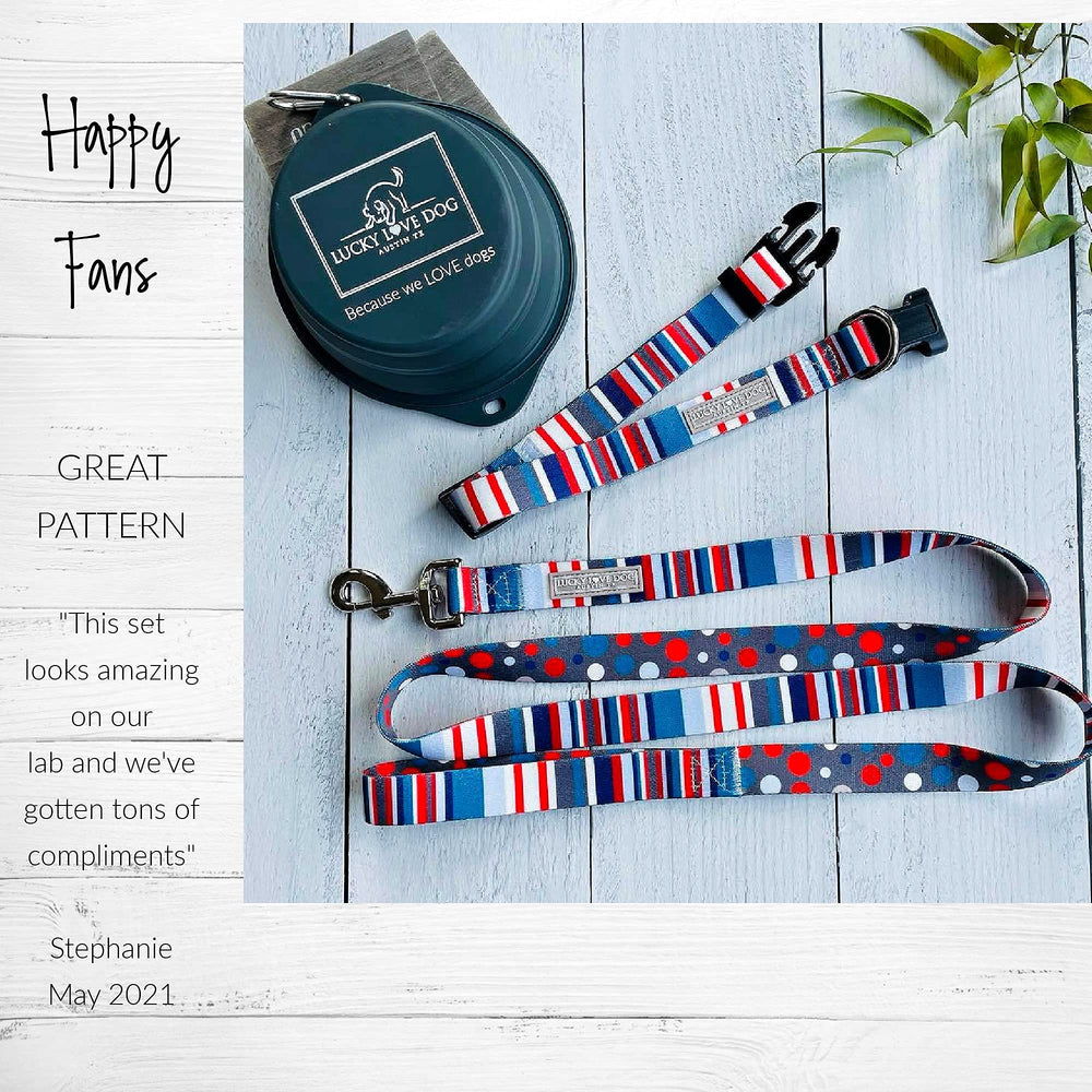 Lucky Love Dog Linus collar-leash combo option for complete set