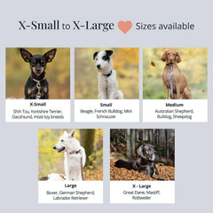 Lucky Love Dog Linus neck measurement guide image for proper fit