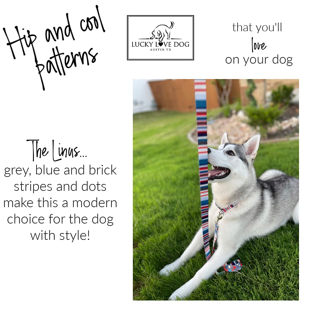 Lucky Love Dog Linus washable collar shown on dog for easy care