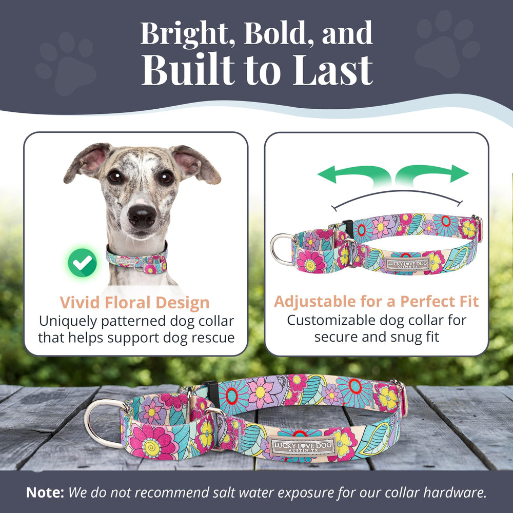 Lucky Love Dog Martingale Collar Caroline adjustable fit for medium dogs.
