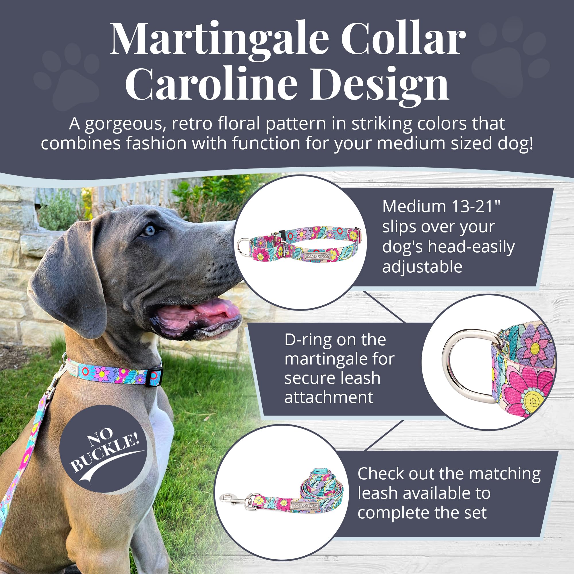 Lucky Love Dog Martingale Collar Caroline close-up with soft hand loop for comfort.