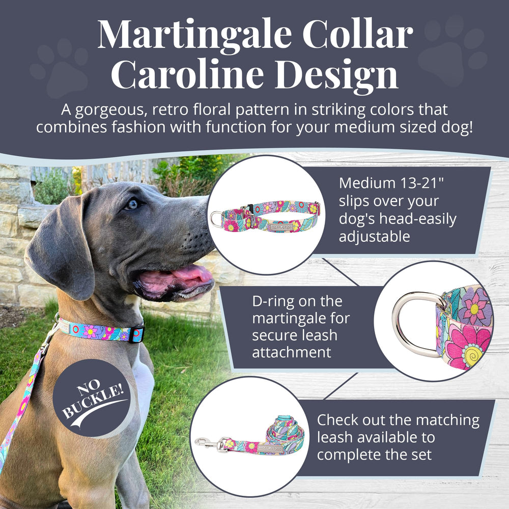 Lucky Love Dog Martingale Collar Caroline close-up with soft hand loop for comfort.