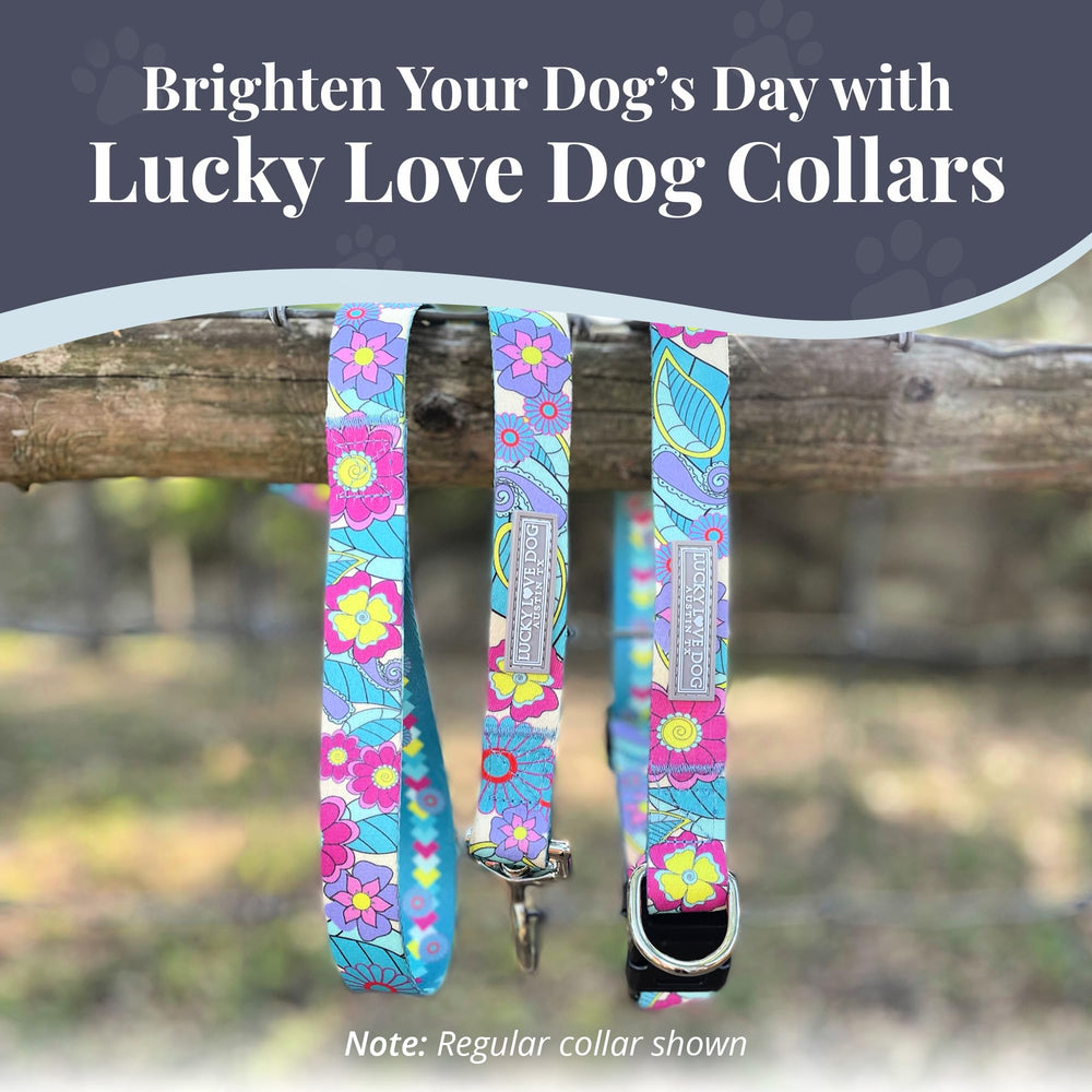 Lucky Love Dog Martingale Collar Caroline worn during a stroll for secure control.