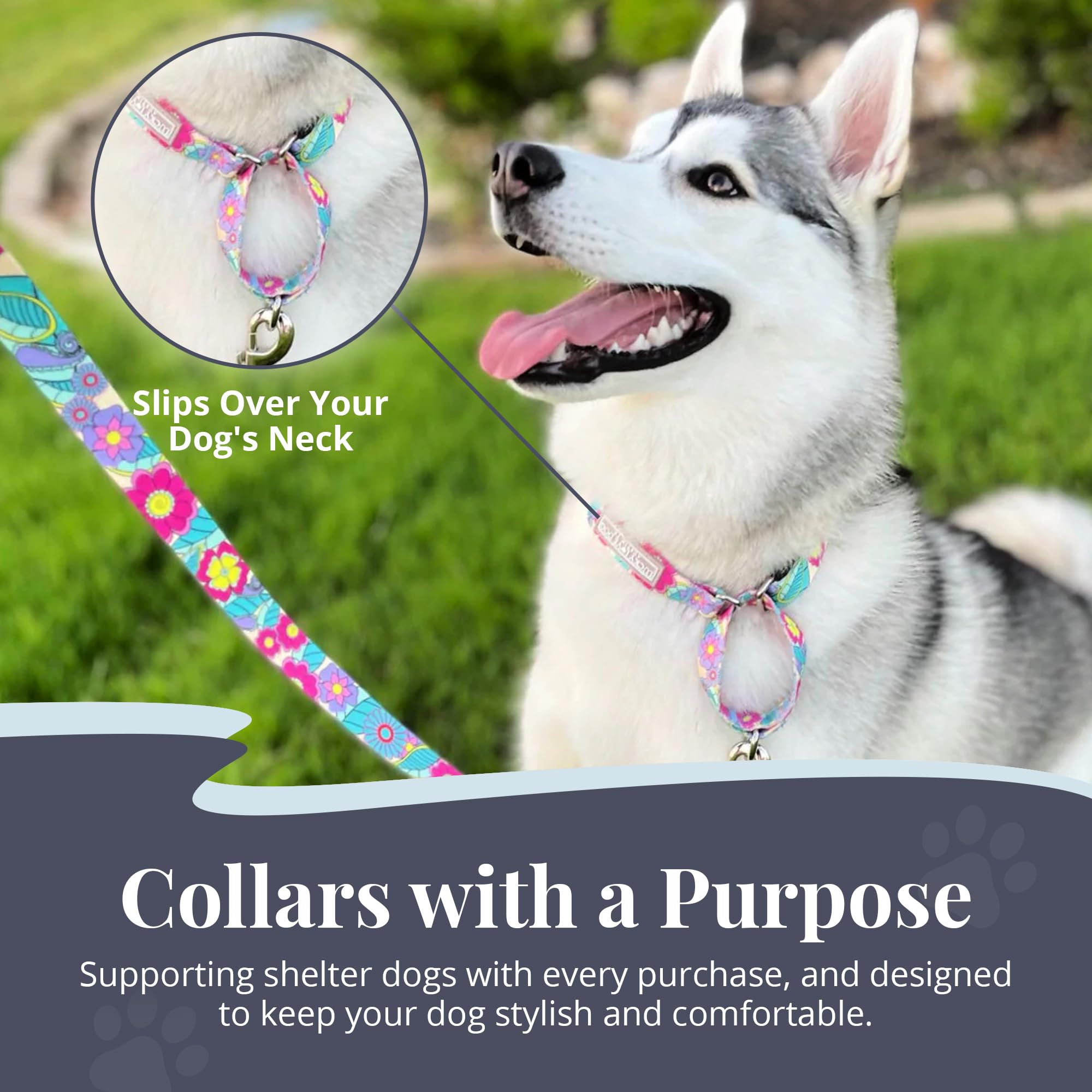 Lucky Love Dog Martingale Collar Caroline durable buckle for long-lasting wear.