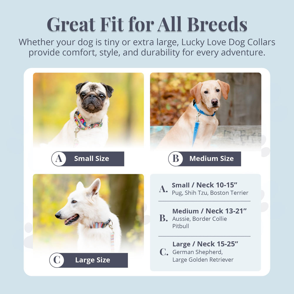 Lucky Love Dog martingale collar durable stitching – built to withstand daily adventures.