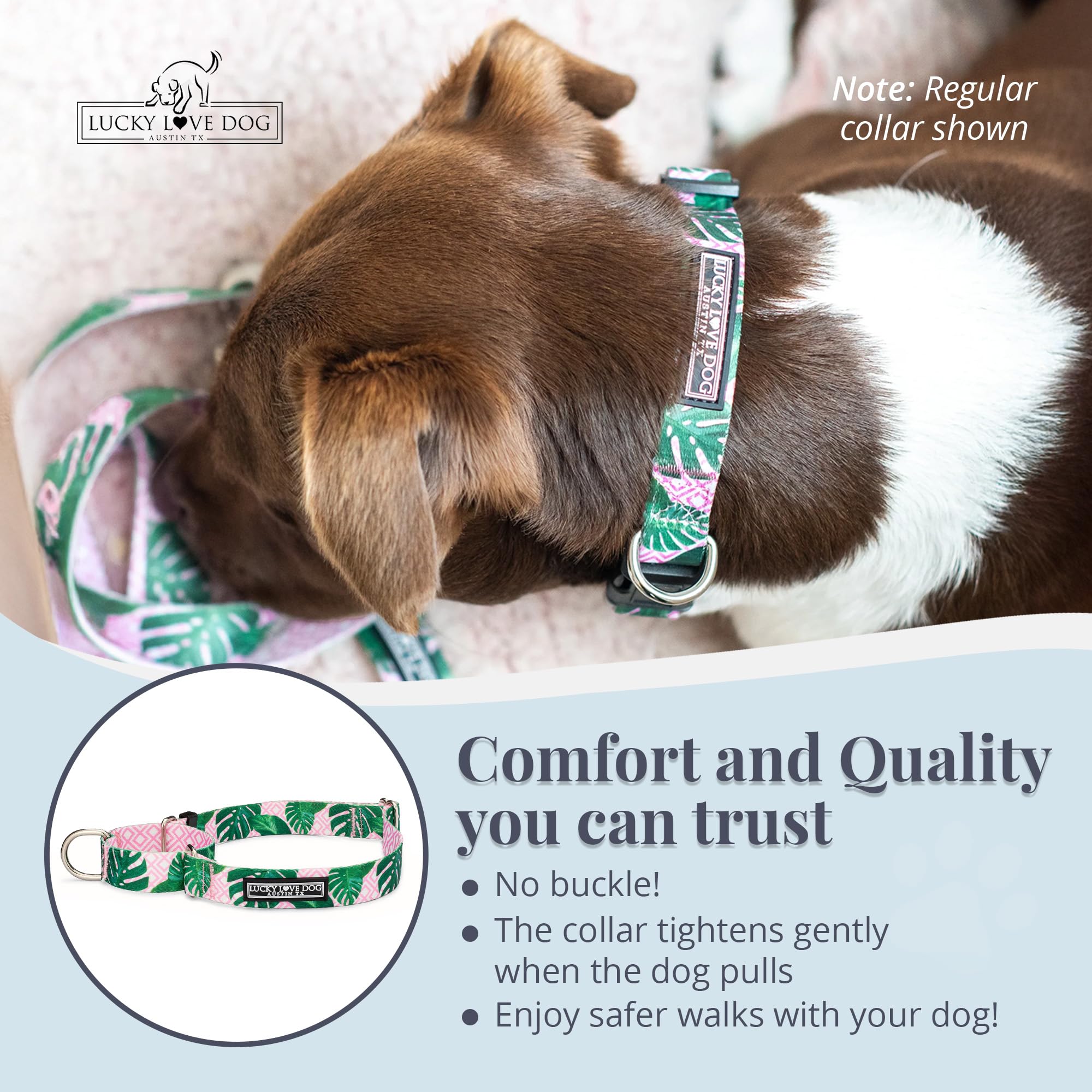 Lucky Love Dog martingale collar medium size – ideal for Laguna pattern dogs.