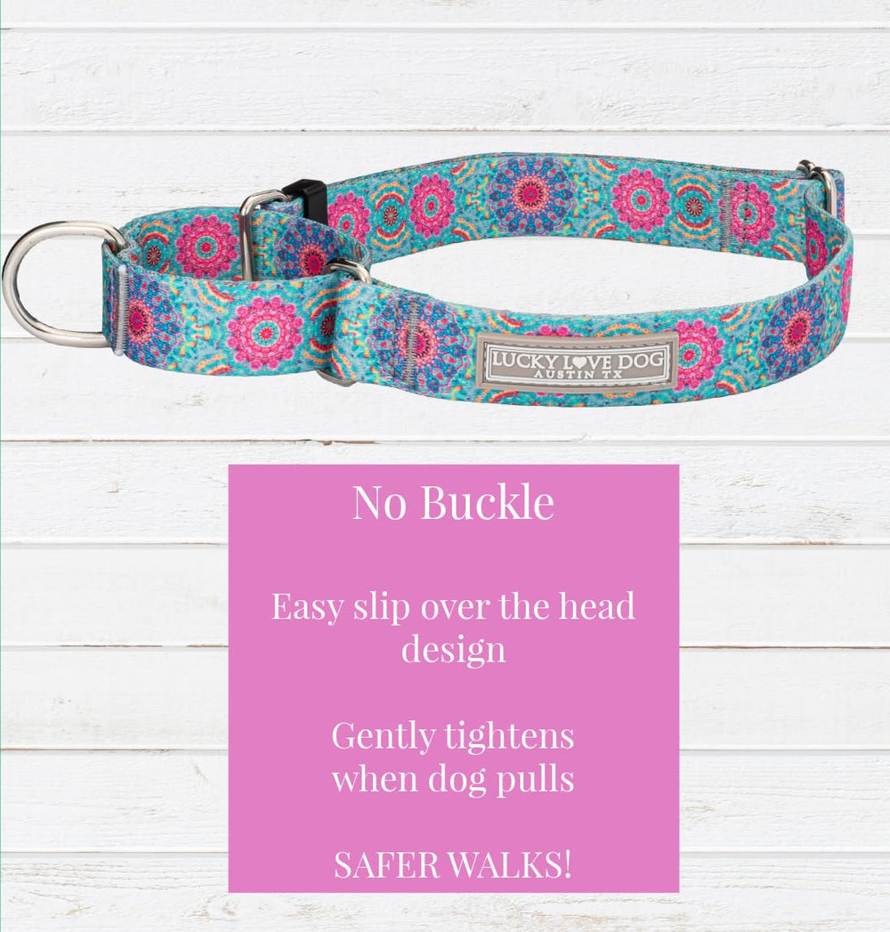 Lucky Love Dog martingale collar pattern wrap shows vibrant design for stylish walks