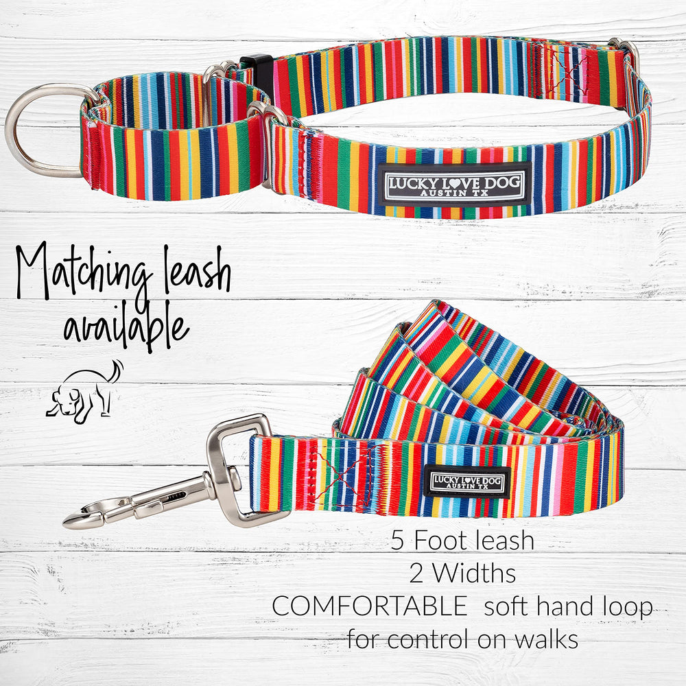 Lucky Love Dog martingale collar training session emphasizes gentle control and durability