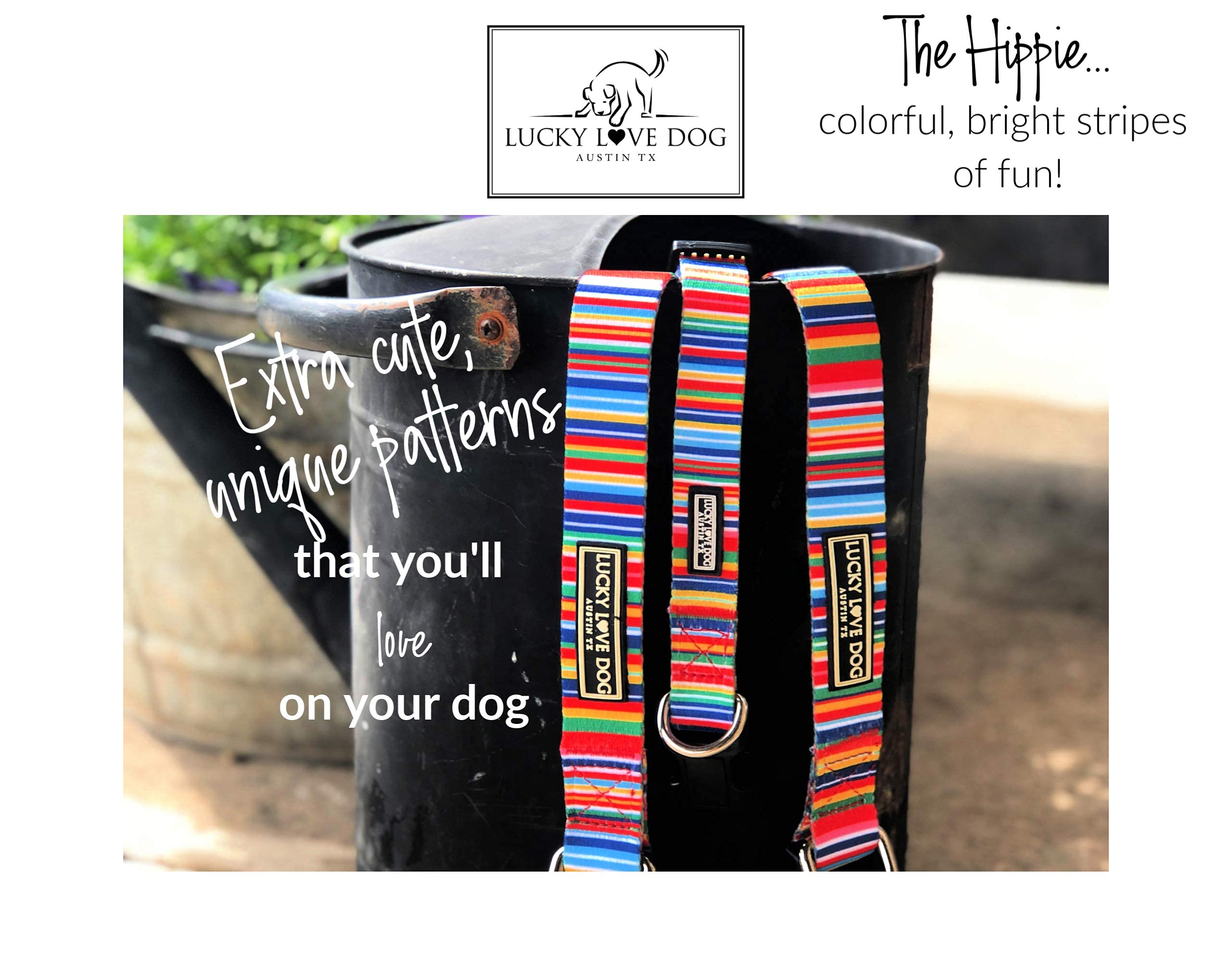Lucky Love Dog martingale collar walking action shows comfortable, soft webbing in use