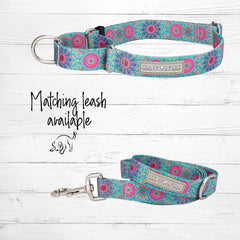 Lucky Love Dog matching leash with martingale collar, 5 feet, comfortable grip