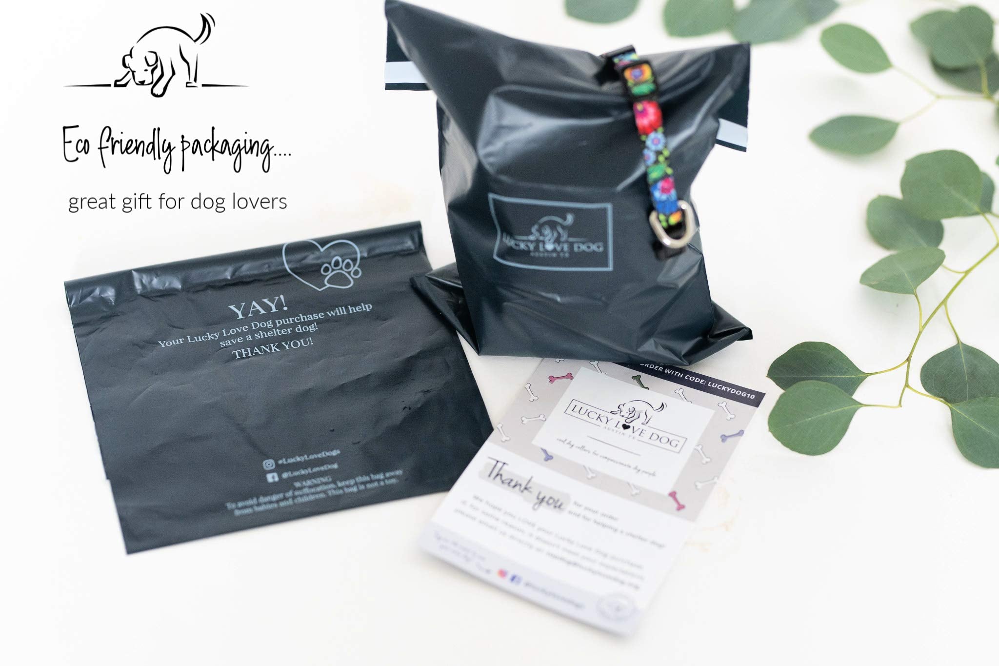 Lucky Love Dog Molly collar pairs with 5-foot leash for walks.