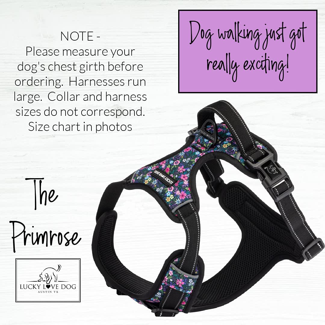 Lucky Love Dog no pull harness primrose chest buckle close-up