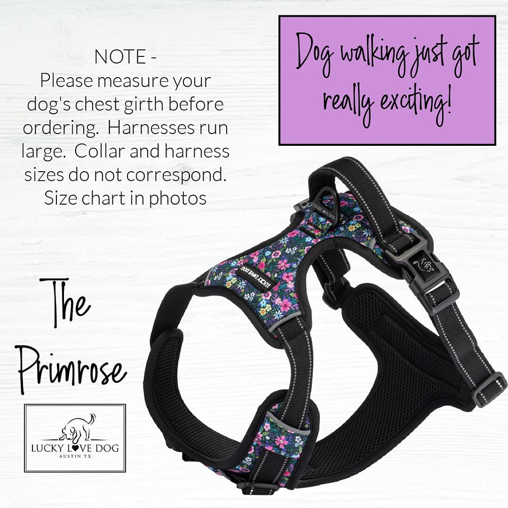Lucky Love Dog no pull harness primrose chest buckle close-up