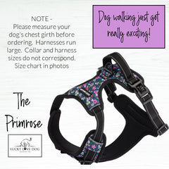 Lucky Love Dog no pull harness primrose chest buckle close-up