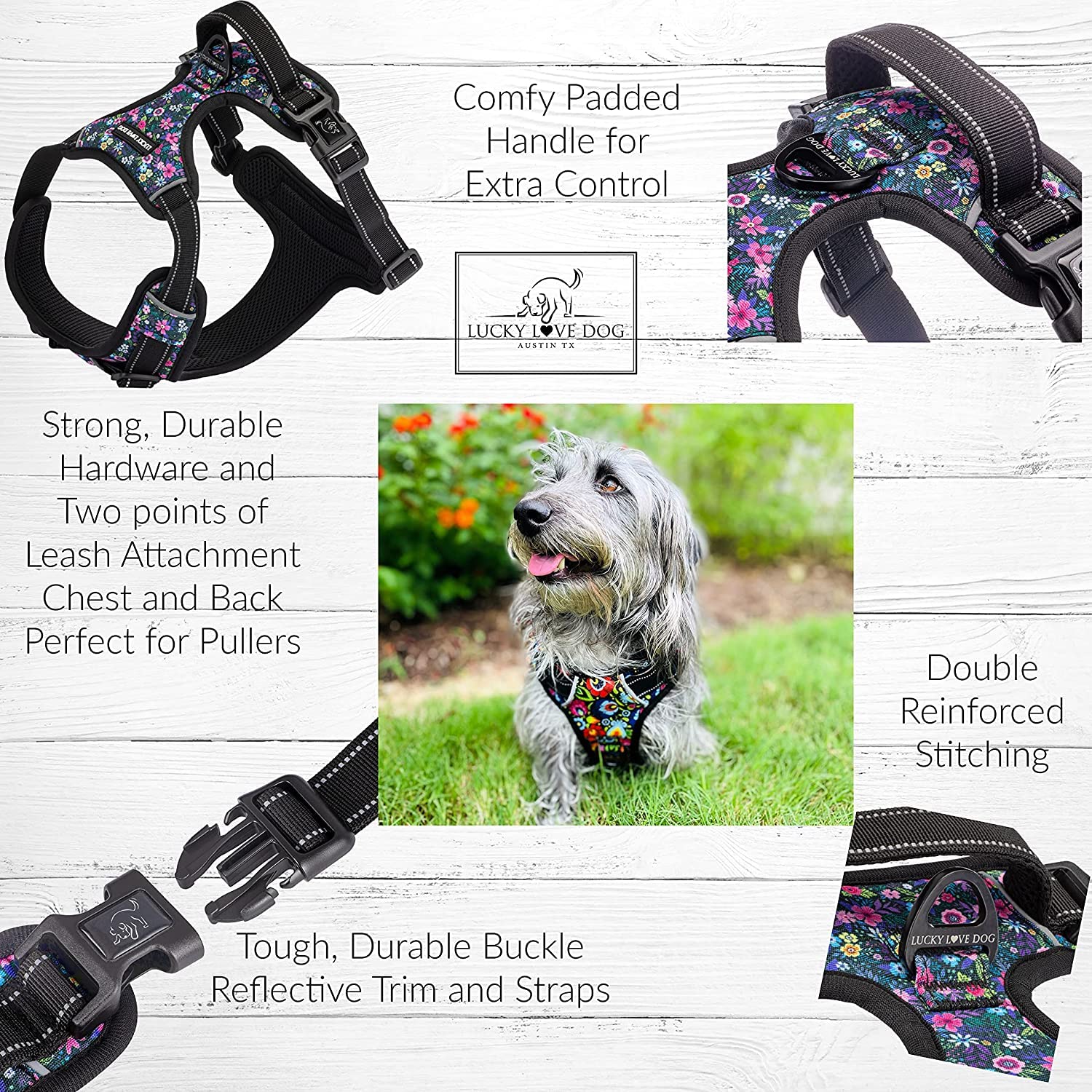 Lucky Love Dog primrose pattern reflective tape during night walk