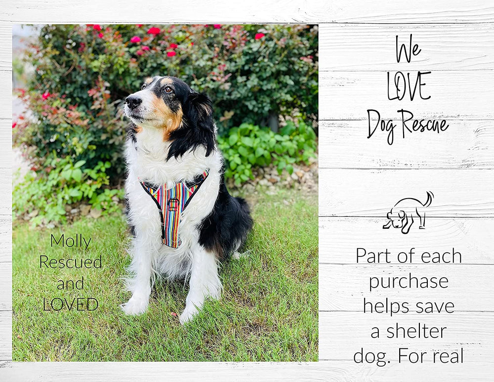 Lucky Love Dog primrose packaging showing shelter-dog donation