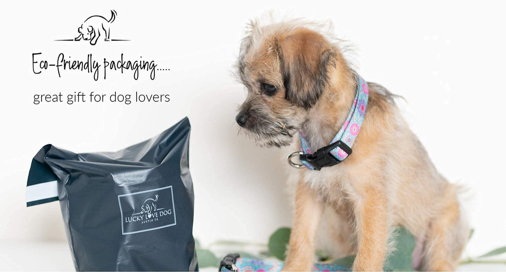 Lucky Love Dog shelter-donation impact, supporting rescue dogs with each purchase.