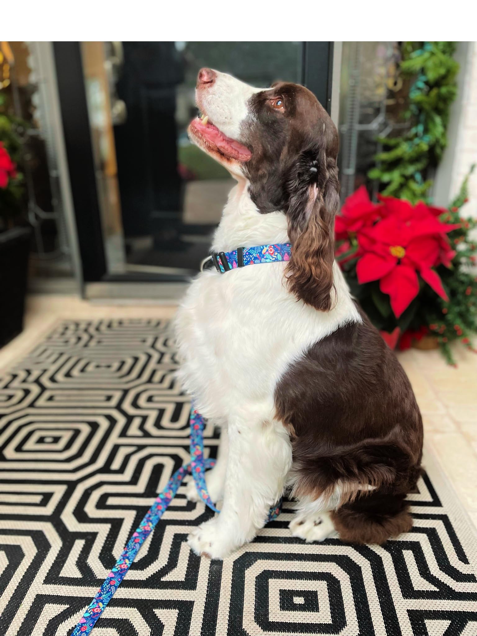 Lucky Love Dog soft hand loop leash: comfortable grip helps you maintain control during walks.