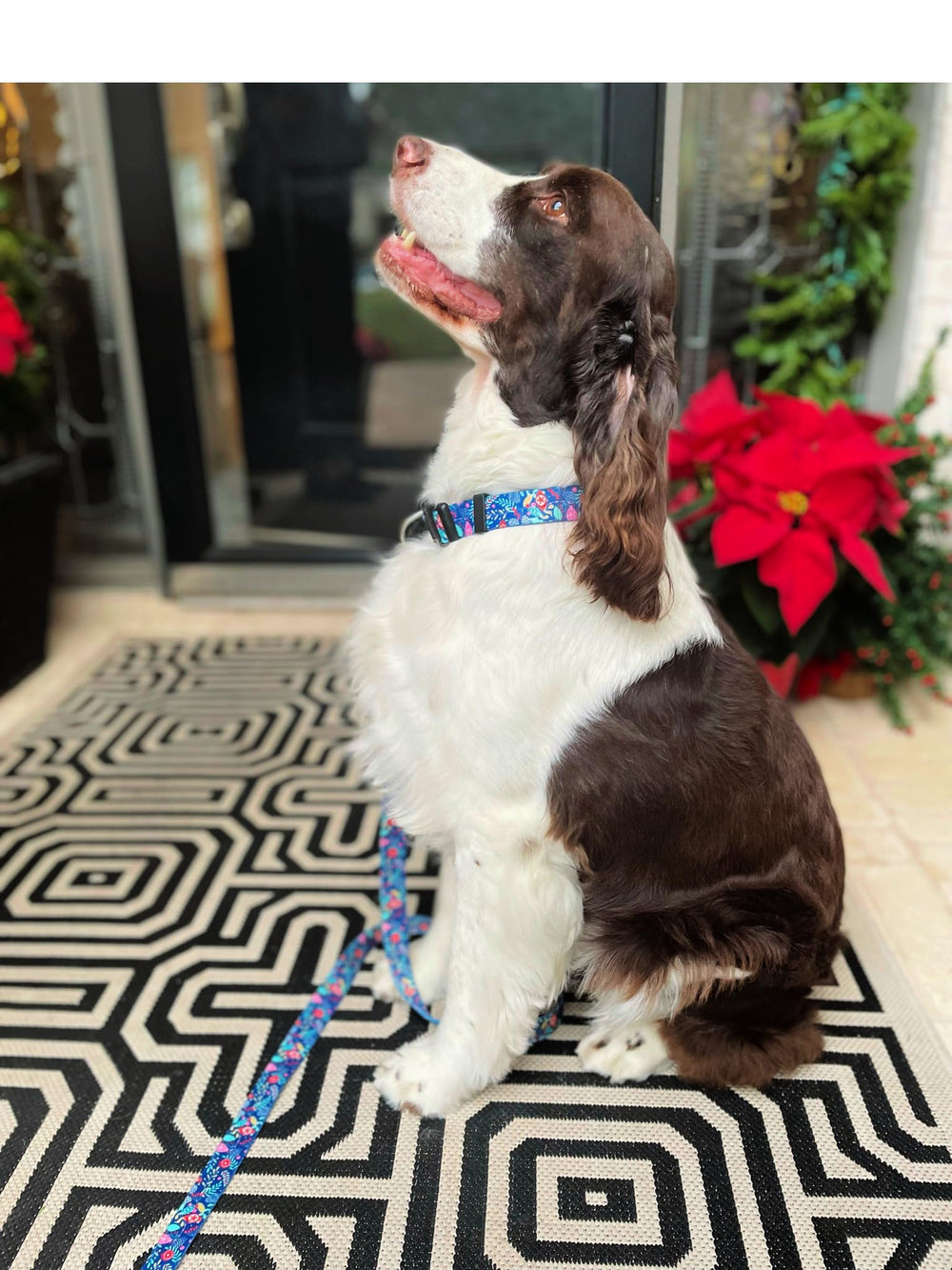 Lucky Love Dog soft hand loop leash: comfortable grip helps you maintain control during walks.