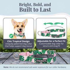 Lucky Love Dog soft-webbing patterned collar for everyday comfort and style