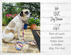 Lucky Love Dog sweet berry collar on dog neck shows secure easy click buckle