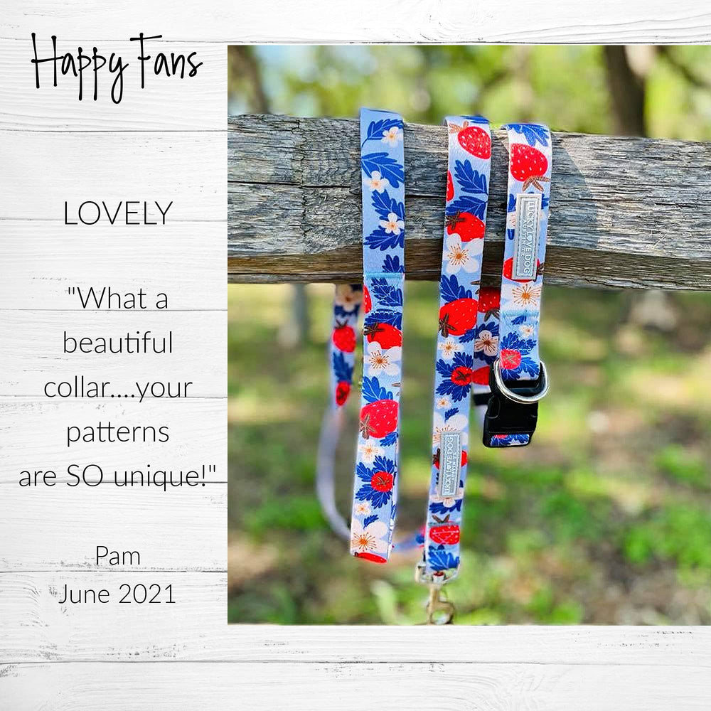 Lucky Love Dog sweet berry colorway ideal for puppies and adults alike