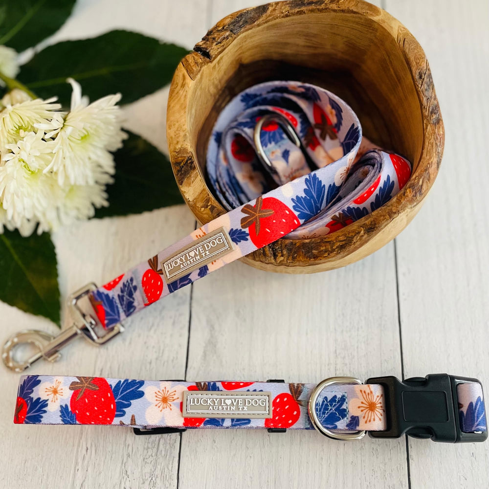 Lucky Love Dog sweet berry leash compatible set option for coordinated walks