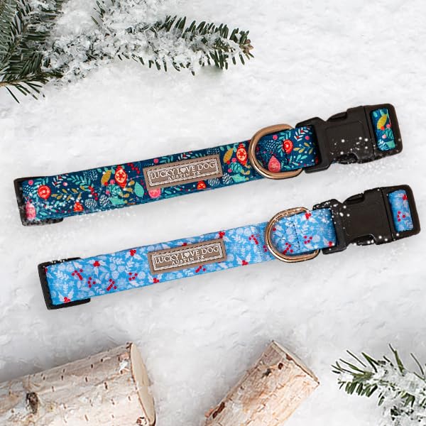Lucky Love Dog Sweet Holiday collar with leash demonstrates comfortable walk setup.